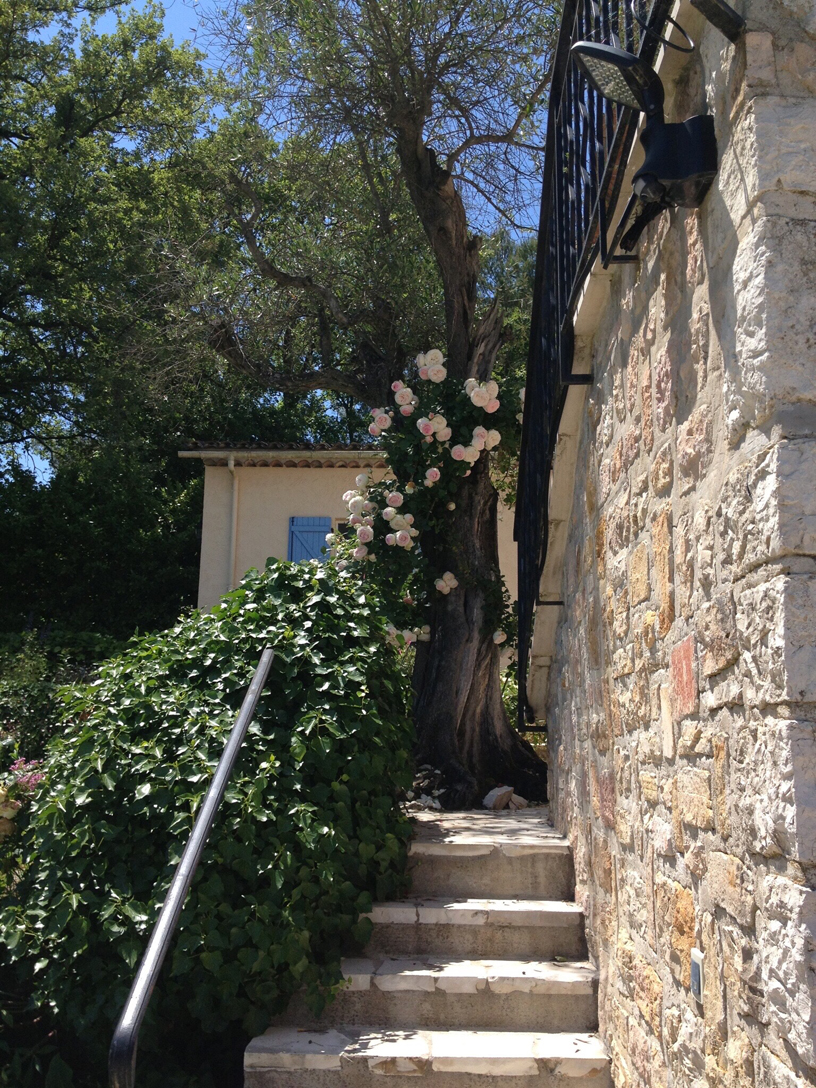 Exterior stairs to Terrace