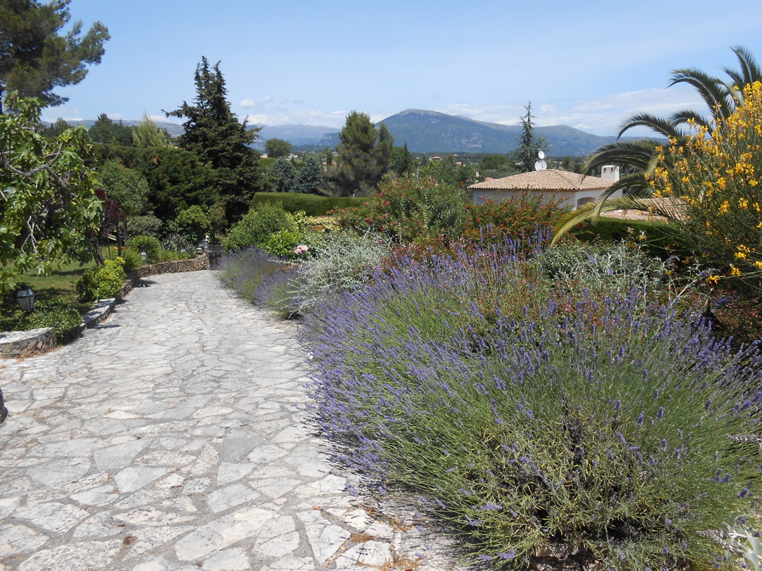 View house towards the driveway